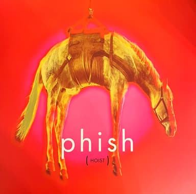 Album Cover Art for Hoist