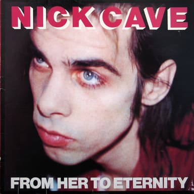 Album Cover Art for From Her To Eternity