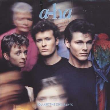 Album Cover Art for You Are The One (Remix)