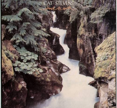 Album Cover Art for Back To Earth