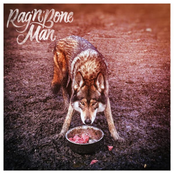 Album Cover Art for Wolves