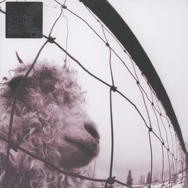 Album Cover Art for Vs.