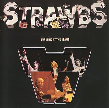Album Cover Art for Bursting At The Seams