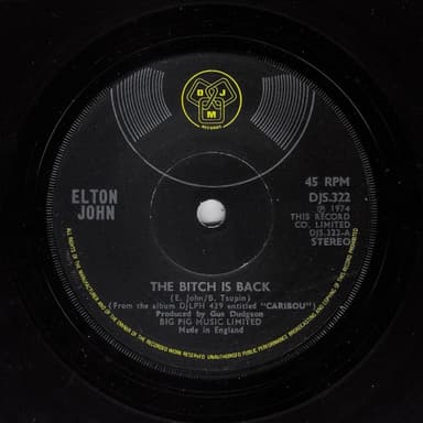 Album Cover Art for The Bitch Is Back