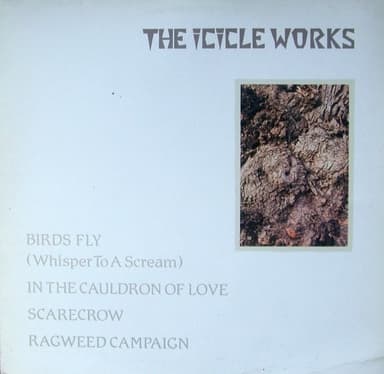 Album Cover Art for Birds Fly (Whisper To A Scream)