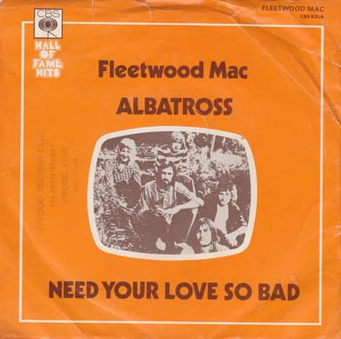 Album Cover Art for Albatross