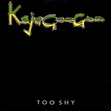 Album Cover Art for Too Shy