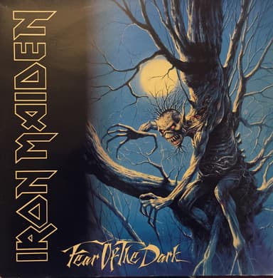 Album Cover Art for Fear Of The Dark