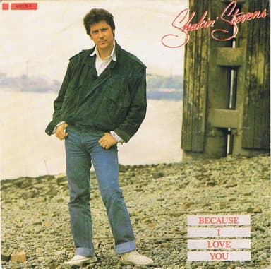 Album Cover Art for Because I Love You