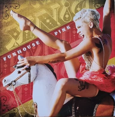 Album Cover Art for Funhouse