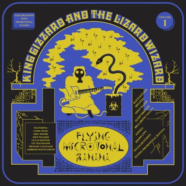 Album Cover Art for Flying Microtonal Banana (Explorations Into Microtonal Tuning Volume 1) 