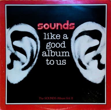 Album Cover Art for Sounds Like A Good Album To Us