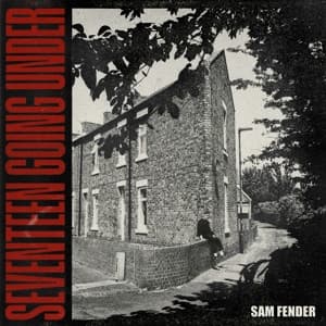 Album Cover Art for Seventeen Going Under