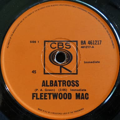 Album Cover Art for Albatross